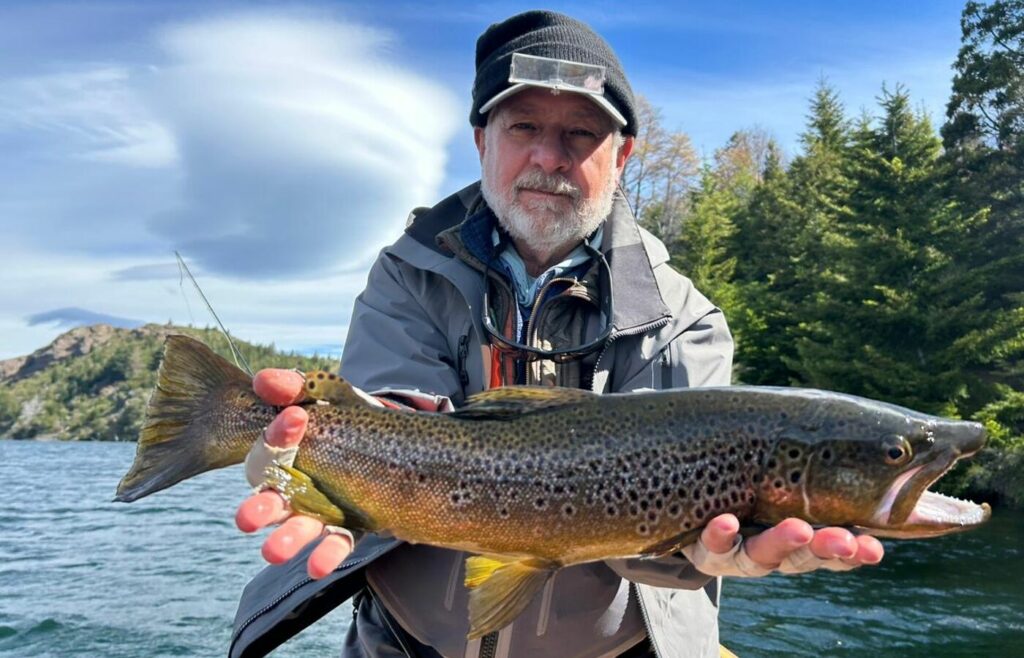 availability-season-23-24-heading